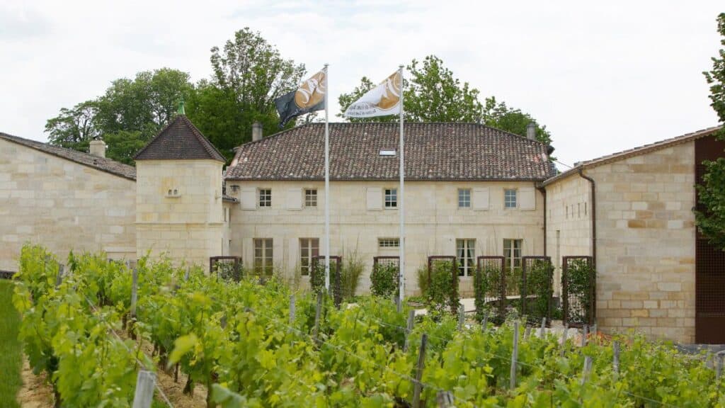 Château viticole entouré de vignes à Saint-Émilion
