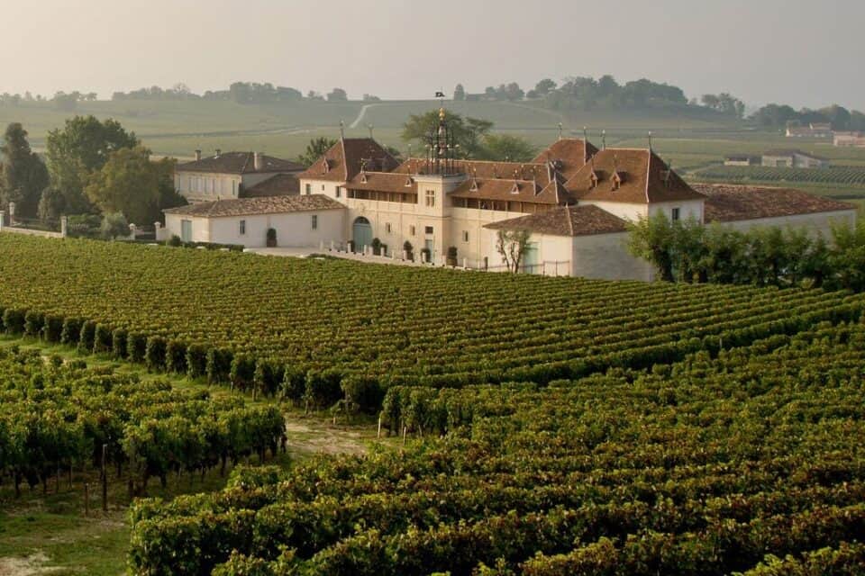Château Angélus à Saint-Émilion dans les vignes