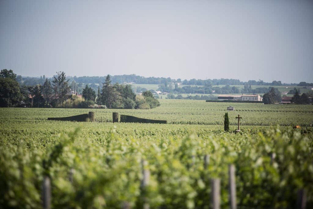 Paysages viticoles de Saint-Émilion à perte de vue, offrant un cadre d’exception pour un séjour œnologique haut de gamme à Bordeaux.