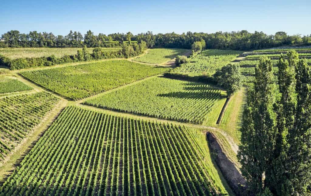 Vue aérienne des vignobles de Saint-Émilion, cadre idéal pour une excursion dans le vignoble de Bordeaux et un weekend œnologique d’exception.