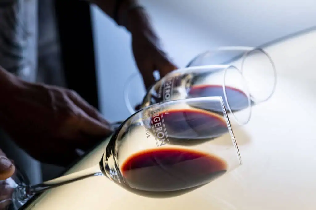 Dégustation de vin rouge dans un cadre élégant à Bordeaux, illustrant une expérience œnologique raffinée à offrir