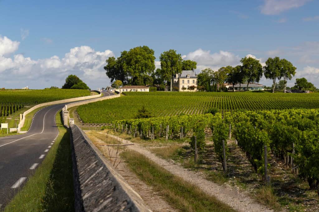 Chemin au cœur des vignes menant à un château dans le vignoble bordelais, paysage paisible pour une expérience œnologique